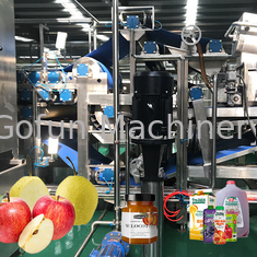10 - 100T / D SUS 304 Automation Linia do przetwarzania soku jabłkowego Projekty pod klucz