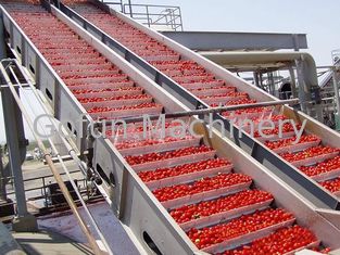 Sterowanie PLC Maszyna do przetwarzania żywności Linia do przetwarzania pomidorów Cykl wodny
