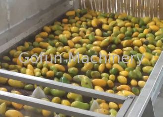 Automatyczna przemysłowa suszarka do owoców / maszyna do suszenia owoców Industrial