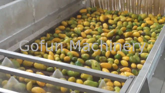 Wysokowydajny zakład przetwórczy mango na małą skalę Wysoka wydajność ekstrakcji