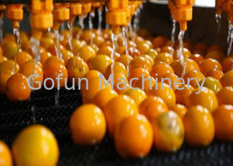 Przemysłowa linia do przetwarzania cytrusów Pomarańczowa jednostka do przetwarzania cytryny 1 rok gwarancji