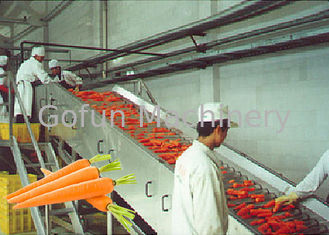 Profesjonalny zakład przetwórstwa marchwi / sprzęt do przetwórstwa owoców i warzyw