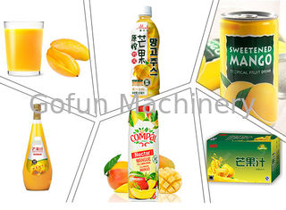 Skoncentrowana linia do ekstrakcji soku z mango 25T / H