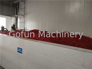 Linia do przetwarzania pomidorów SGS 2000T / D Linia do zagęszczania ketchupu