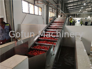 2000T / D Skoncentrowana linia do przetwarzania warzyw pomidorowych SS304