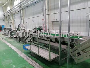 Linia do produkcji pulpy guawa 500T / D 415V Zakład przetwórstwa guawy do skoncentrowanego soku