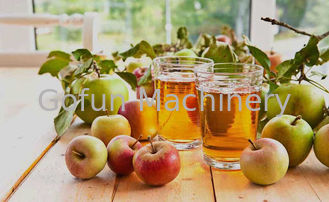 SS316 Koncentrat przetwórstwa soku jabłkowego 25t / h na napoje
