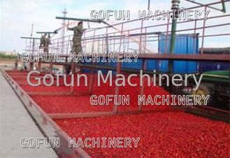 5T / H W pełni automatyczna instalacja do przetwarzania przecieru pomidorowego Stal nierdzewna 304