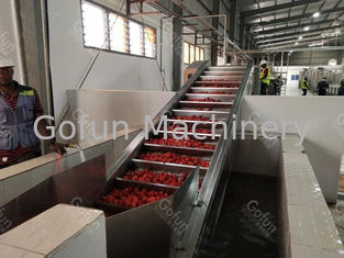Torba aseptyczna Automatyczny sprzęt do przetwarzania pasty pomidorowej 25T / D 380V