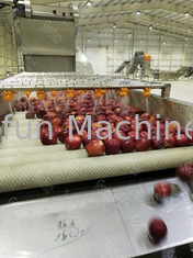 Wysokowydajna linia do przetwarzania soku jabłkowego SUS316 30T / H 7,5kw