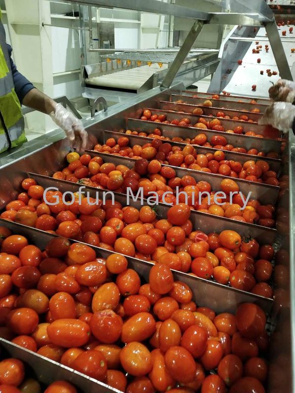 220v / Dostosowana linia do przetwarzania pomidorów Linia do produkcji dżemów owocowych Oszczędność energii