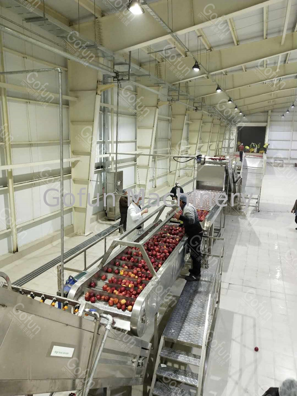 Automatyczna maszyna do przetwarzania soku jabłkowego sterowana przez PLC 0,5T / H - 30T / H