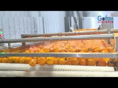 Przemysłowa linia produkcyjna NFC do przetwarzania soków, komplet sprzętu czyszczącego, odtwarzającego, sterylującego i