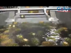 Wysokiej wydajności linia przetwórcza ananasa do wytwarzania soku koncentrat i innych produktów