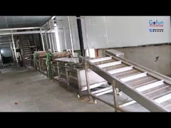 Sprzęt do przetwarzania owoców tropikalnych: celuloza + sok + suszone owoce trzy w jednym