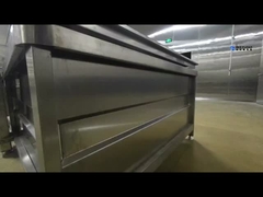 Automatyczna maszyna do czyszczenia owoców i warzyw Kompletny zestaw linii do czyszczenia owoców i warzyw