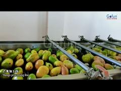 Linia do produkcji soku z mango premium