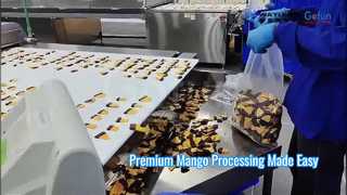 Linia do przetwarzania premium mango Miękki, suszony roztwór mango do żucia