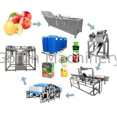 Standard spożywczy SUS 304 Linia do przetwarzania jabłek Linia do przetwarzania soków owocowych na zimno