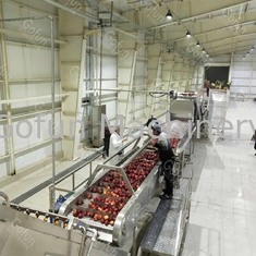Wysokowydajna linia do przetwarzania soku jabłkowego SUS316 30T / H 7,5kw