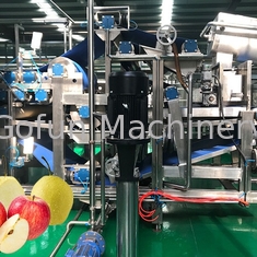 Przemysłowa linia produkcyjna soku jabłkowego NFC Maszyna do przetwarzania soku HPP