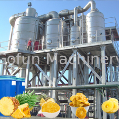 Sterylizacja linii do przetwarzania ananasów SS316 1500 T / dzień