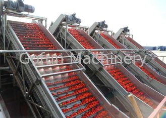 Przemysłowa linia do przetwarzania warzyw Linia do przetwarzania pasty pomidorowej Oszczędzanie wody Łatwa obsługa