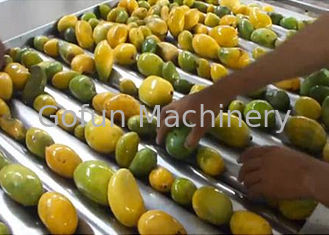 Elektryczna maszyna do przetwarzania świeżego soku z mango 5T / H Usuwanie kamienia