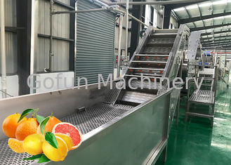 Profesjonalny sprzęt do przetwarzania owoców cytrusowych Tangerine 5T / H Certyfikat ISO