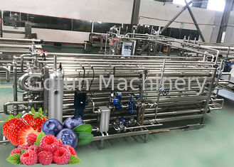 Berry Paste Pulp Przemysłowy pasteryzator Linia produkcyjna pod klucz Easy Clean