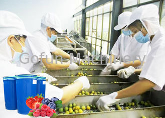 Bezpieczeństwo Sprzęt do przetwarzania owoców jagodowych Oszczędzanie wody Automatyczne sterowanie PLC