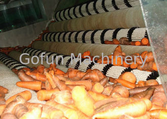 Przemysłowy zakład przetwórstwa marchwi / stabilny sprzęt do przetwórstwa marchwi