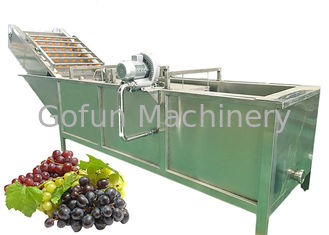 Sterylizująca maszyna do ekstrakcji soku winogronowego SS316 20T / H