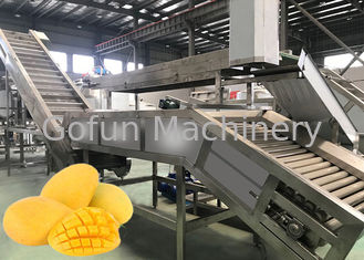 SUS 316L Maszyna do przetwarzania soku z dżemu mango 10 - 100T / D Serwis pod klucz