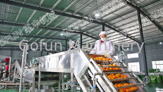 Wielofunkcyjna maszyna do produkcji soków owocowych do prania / sortowania 1500w - 2200w