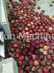 CE Przemysłowa automatyczna maszyna do przetwarzania soku jabłkowego 7,5 kW SUS304