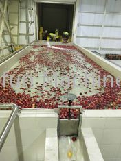 Oszczędność wody Oszczędność energii Projekt linii produkcyjnej soków jabłkowych