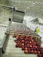 Przemysłowa linia do przetwarzania jabłek Sprzęt do przetwarzania soków owocowych