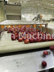 SUS304 Automatyczna linia do przetwarzania jabłek do Puree 20t / H