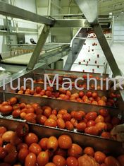 Linia do produkcji pomidorów klasy spożywczej 304SUS Dostosowana 100T / D