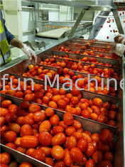 SS304 Linia do przetwarzania pomidorów 20T / H Linia do przetwarzania ketchupu Wysoka wydajność