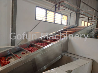 Przemysłowy zakład przetwórstwa przecieru pomidorowego 250T / D 440V