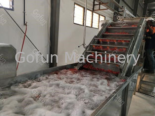 50t / h Automatyczna linia do przetwarzania pasty pomidorowej System recyklingu wody