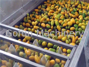 One Stop Service Linia do przetwarzania dżemu mango SUS304 dla gotowego produktu 10 - 200T / D