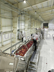 Ss304 Linia do przetwarzania jabłek Automatyczna maszyna do produkcji soków owocowych 380 V