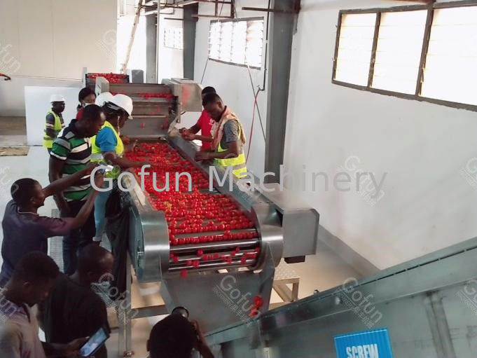 All In One Maszyna do produkcji soku pomidorowego SUS304 Linia do przetwarzania pasty pomidorowej
