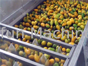 Elektryczna maszyna do przetwarzania świeżego soku z mango 5T / H Usuwanie kamienia
